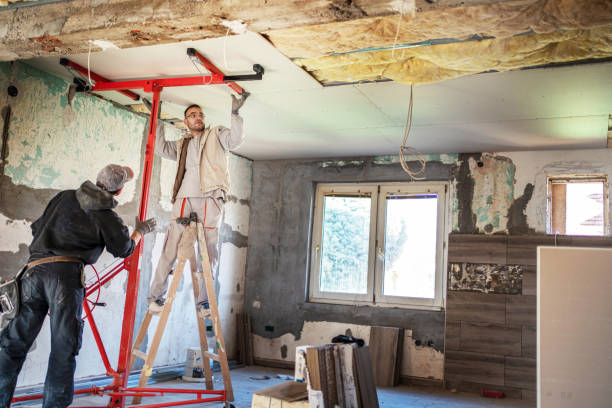 Best Insulation for New Construction  in Foothill Farms, CA