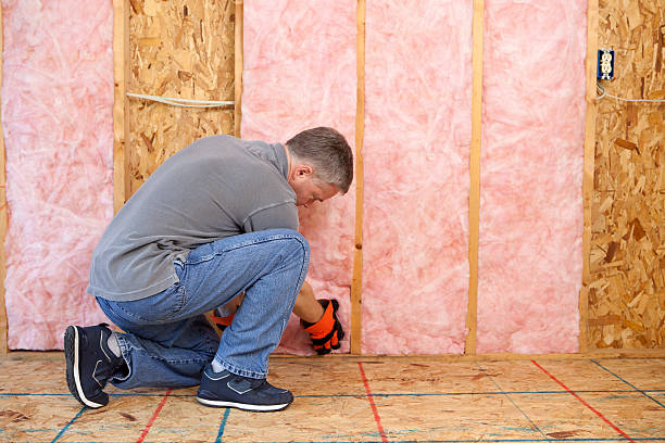 Soundproof Insulation Installation in Foothill Farms, CA